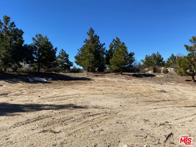 196 Mill Pond Road, Lake Arrowhead, CA 92352