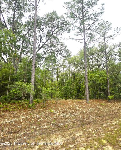 576 E Nemo Drive, Citrus Springs, FL 34434