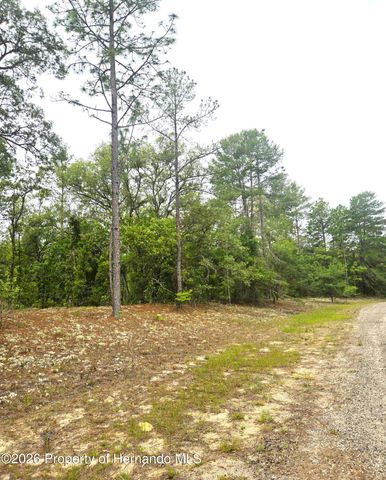576 E Nemo Drive, Citrus Springs, FL 34434