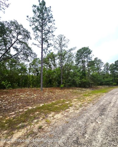 576 E Nemo Drive, Citrus Springs, FL 34434