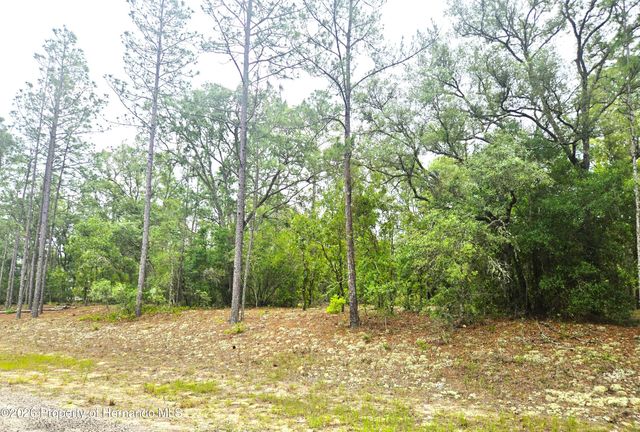576 E Nemo Drive, Citrus Springs, FL 34434