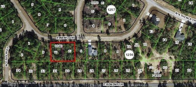 576 E Nemo Drive, Citrus Springs, FL 34434