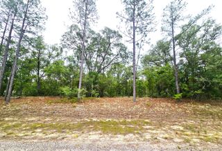 576 E Nemo Drive, Citrus Springs, FL 34434