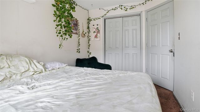 253 Cornelia Street, Brooklyn, NY 11221