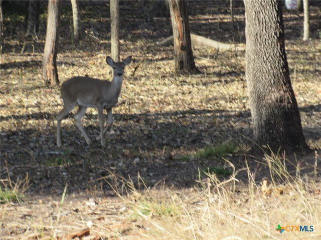 4232 Westview Drive, Belton, TX 76513