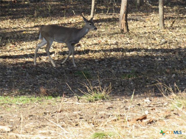 4232 Westview Drive, Belton, TX 76513