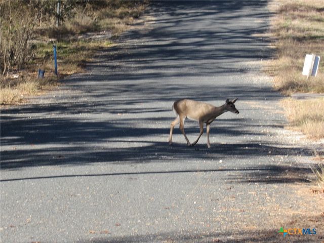 4232 Westview Drive, Belton, TX 76513