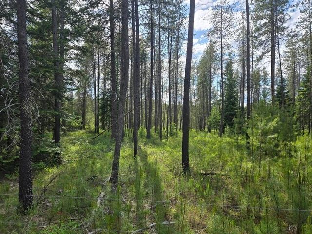 26XX Sand Canyon Lot 2 Rd, Chewelah, WA 99109