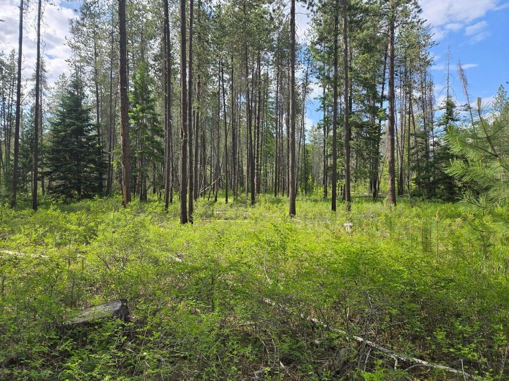 26XX Sand Canyon Lot 2 Rd, Chewelah, WA 99109