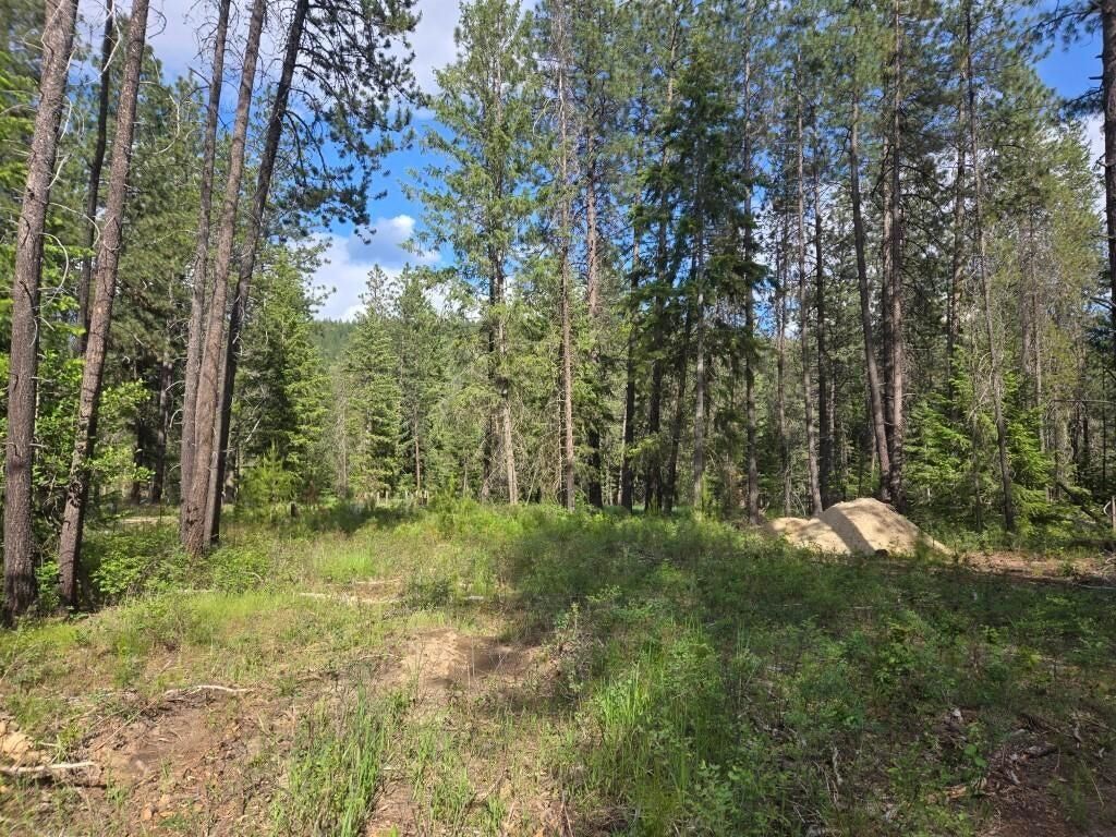 26XX Sand Canyon Lot 2 Rd, Chewelah, WA 99109 photo 3