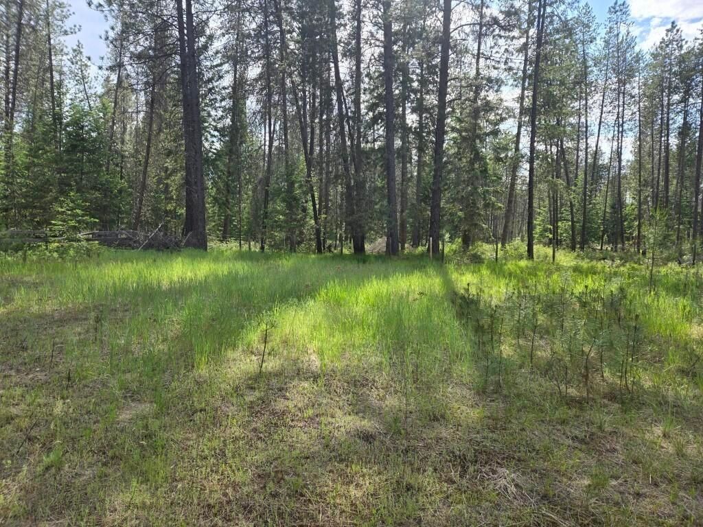 26XX Sand Canyon Lot 2 Rd, Chewelah, WA 99109 photo 4