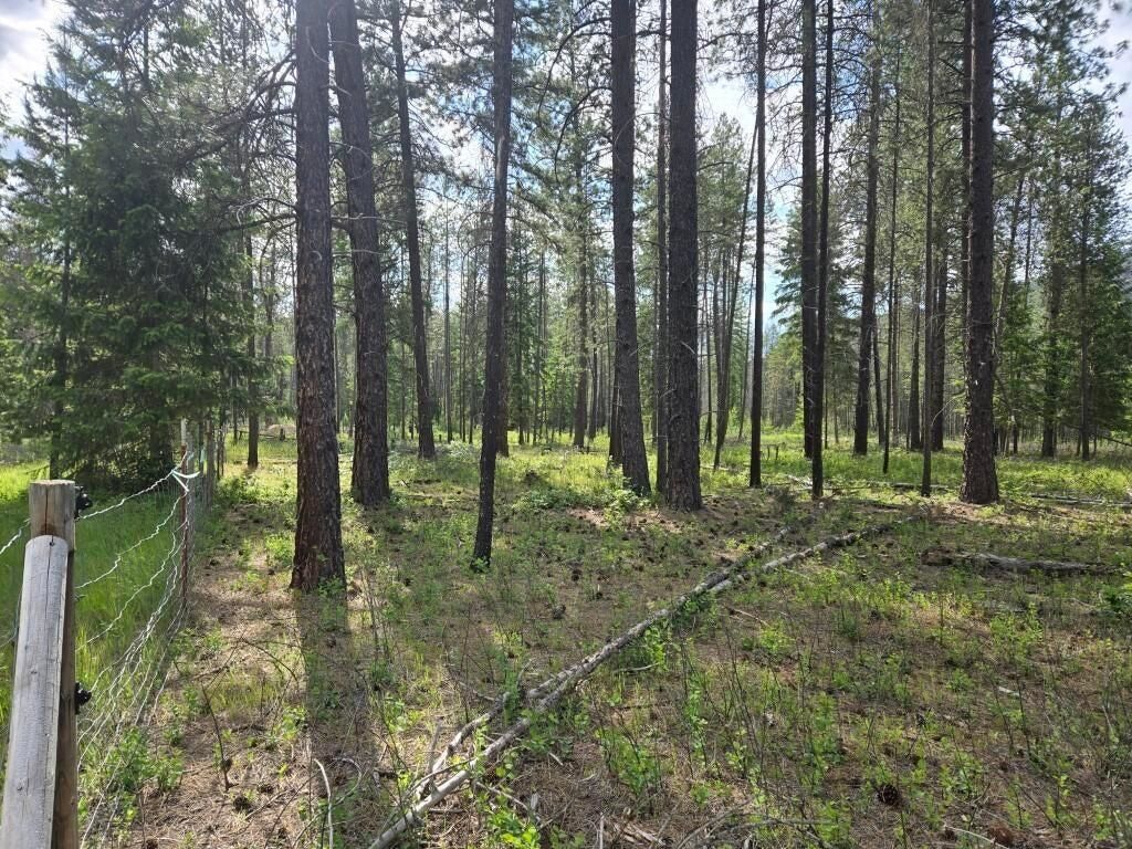 26XX Sand Canyon Lot 2 Rd, Chewelah, WA 99109 photo 6