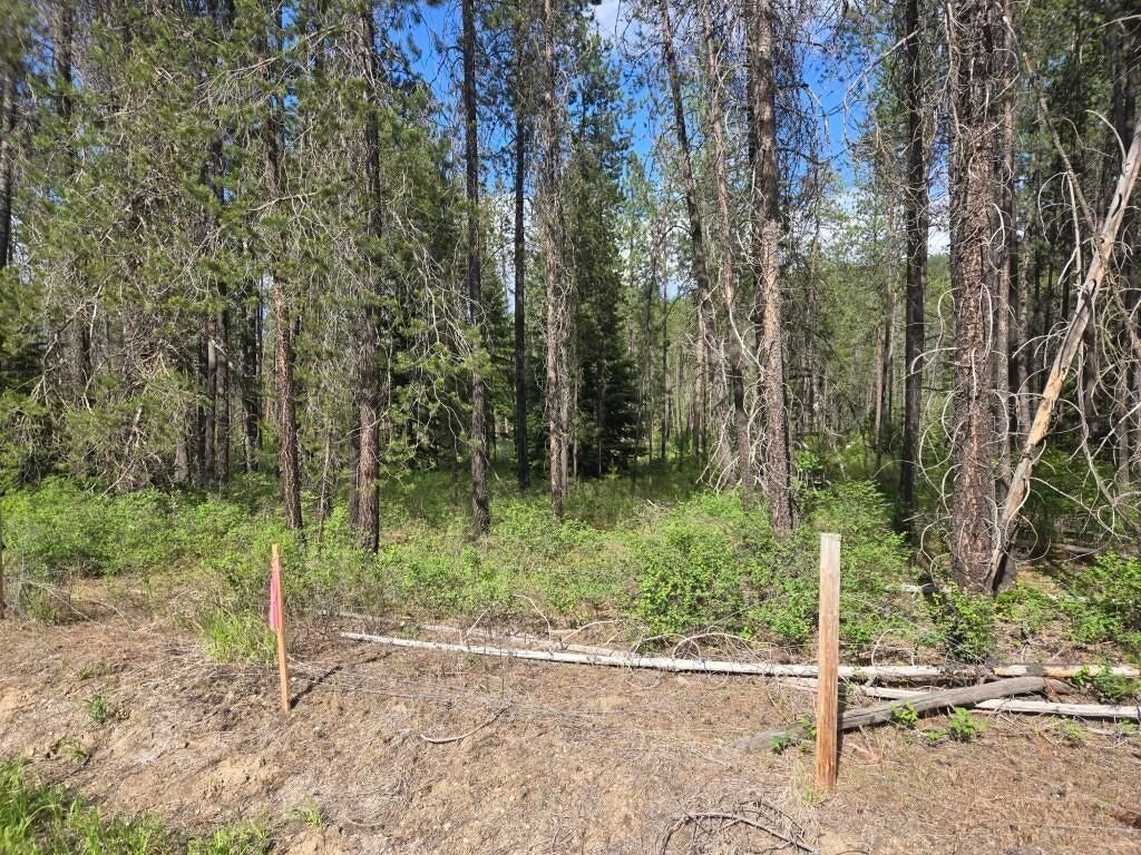 26XX Sand Canyon Lot 2 Rd, Chewelah, WA 99109 photo 9