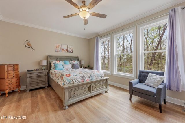 166 E Shore Drive, Rockwood, TN 37854