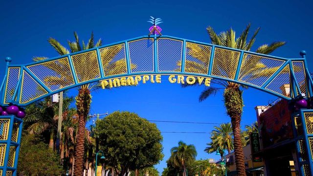 250 NE 3rd Avenue 1502, Delray Beach, FL 33444