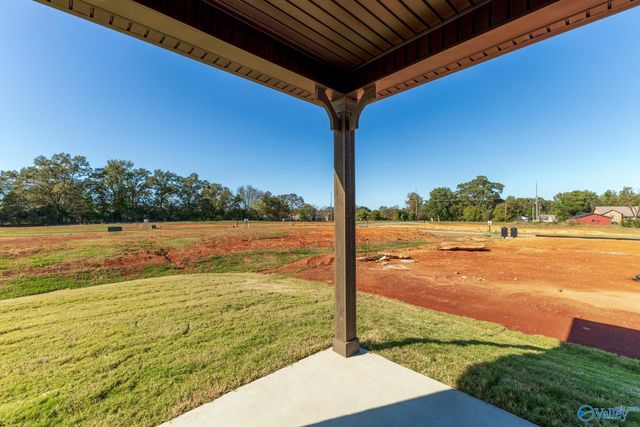 206 Roman Randall Road, New Market, AL 35761