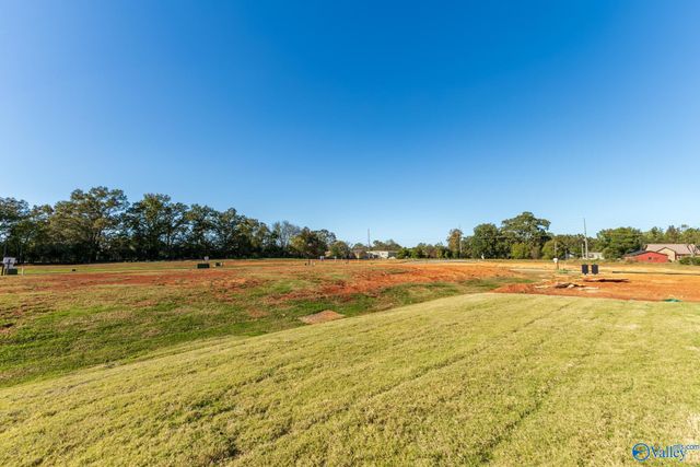 206 Roman Randall Road, New Market, AL 35761