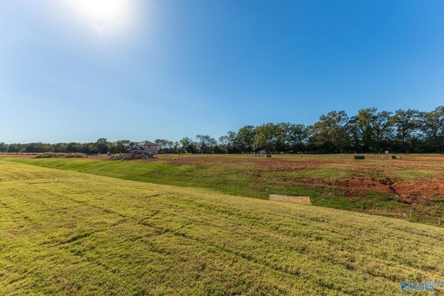 206 Roman Randall Road, New Market, AL 35761