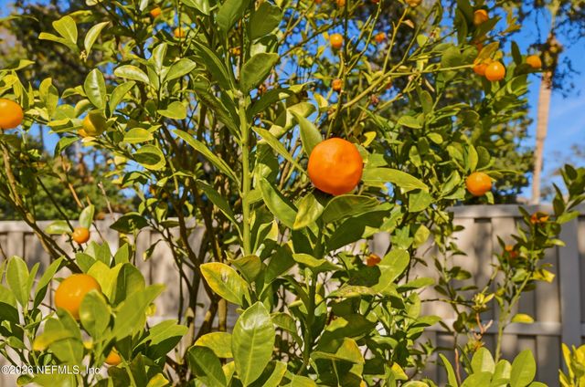 7 WALKERS RIDGE Drive, Ponte Vedra Beach, FL 32082