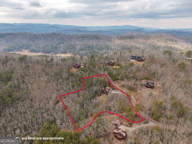 411 Ridge Trail, Blue Ridge, GA 30513