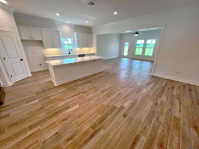 1205 Lakehaven Dr, Gonzales, LA 70737