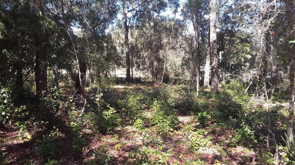 Lot 33 SW NEPTUNE BOULEVARD, Dunnellon, FL 34431
