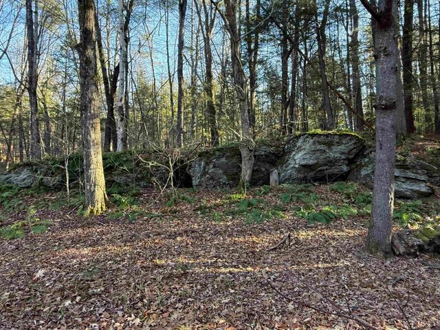 662 Vt Rt 30, Newfane, VT 05345