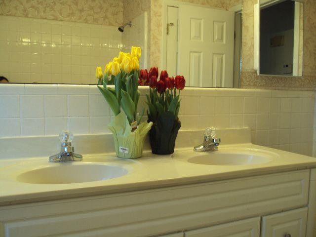 1133 Evans Road, Cary, NC 27513