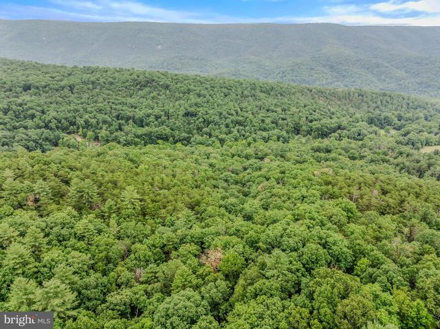 175 CHASE WOODS LN, Great Cacapon, WV 25422