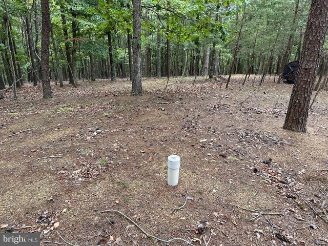 175 CHASE WOODS LN, Great Cacapon, WV 25422