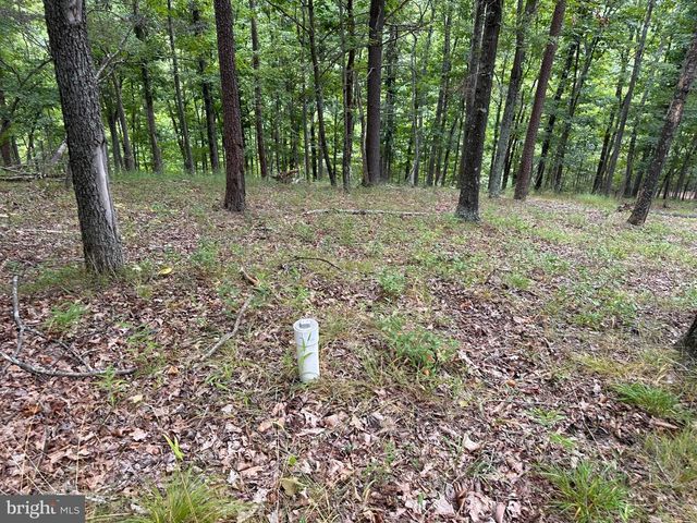 175 CHASE WOODS LN, Great Cacapon, WV 25422