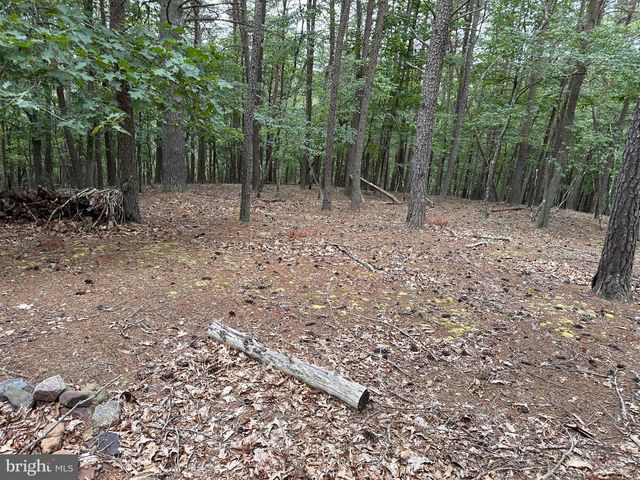 175 CHASE WOODS LN, Great Cacapon, WV 25422