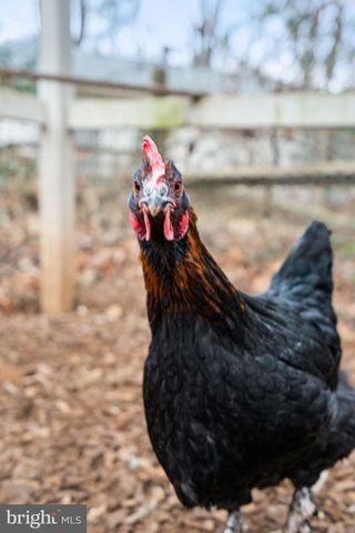 7229 HASTINGS LN, Warrenton, VA 20187