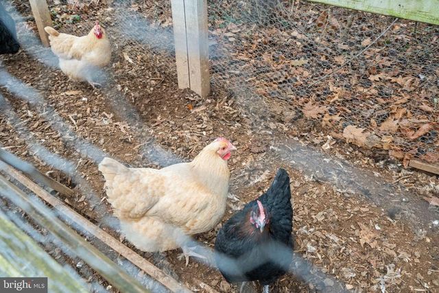 7229 HASTINGS LN, Warrenton, VA 20187