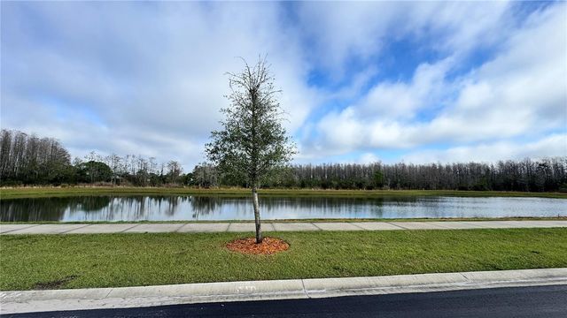 3182 EAGLE HAMMOCK CIRCLE, Kissimmee, FL 34743