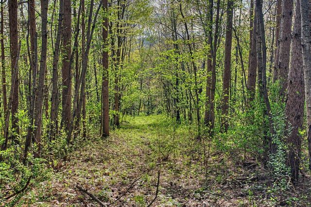 N2487 Nuttelman ROAD, La Crosse, WI 54601