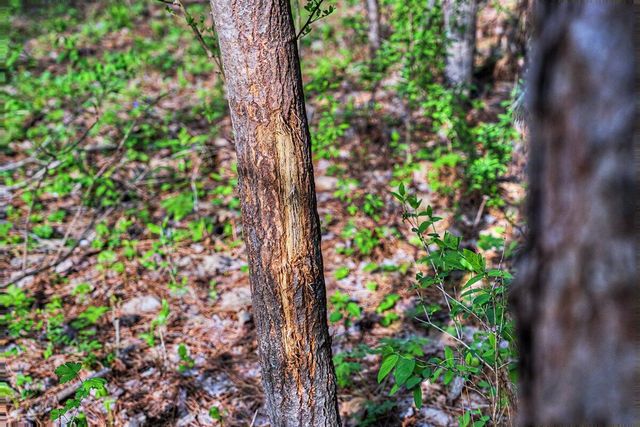 N2487 Nuttelman ROAD, La Crosse, WI 54601