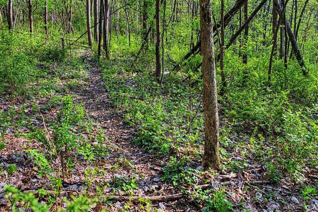 N2487 Nuttelman ROAD, La Crosse, WI 54601
