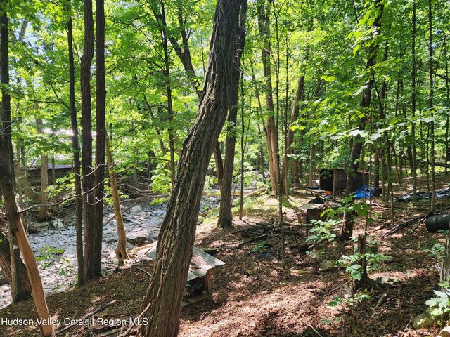 9 Hamm Rd Road, Durham, NY 12460