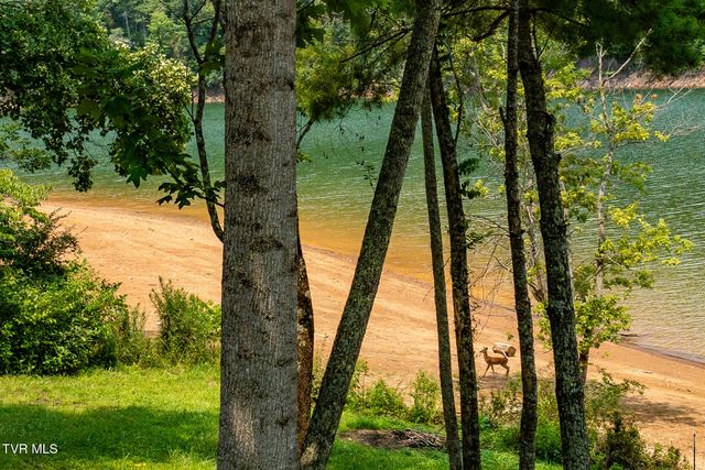 2288 Norris Hollow Road, Butler, TN 37640