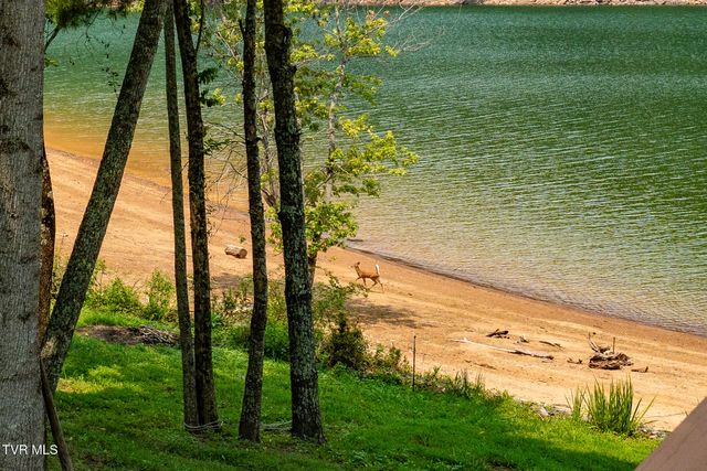 2288 Norris Hollow Road, Butler, TN 37640