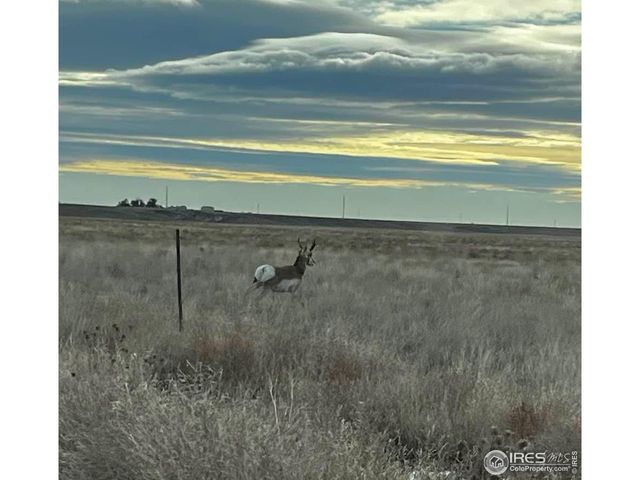 58736 County Road 23, Carr, CO 80612