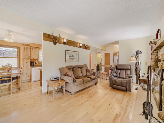 23445 Weisshorn Drive, Indian Hills, CO 80454