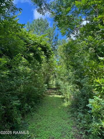 Tbd Lot 4 Frozard Road 4, Arnaudville, LA 70512