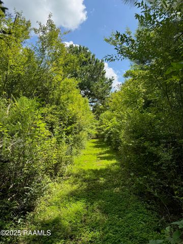 Tbd Lot 4 Frozard Road 4, Arnaudville, LA 70512