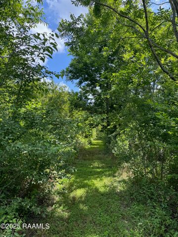 Tbd Lot 4 Frozard Road 4, Arnaudville, LA 70512