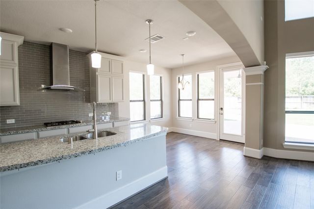 14 Trailing Lantana Place, The Woodlands, TX 77354