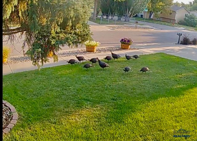 779 SEAHAWK DR, Rapid City, SD 57701