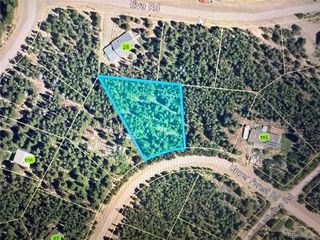 1010 Upper Forest Rd, Idaho Springs, CO 80452