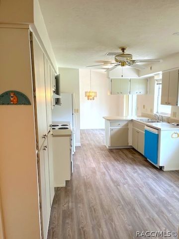 56 S J Kellner Boulevard, Beverly Hills, FL 34465
